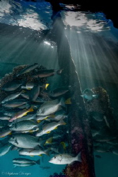 The splendor of The Sondarek Jetty by Stephanie Doniger 